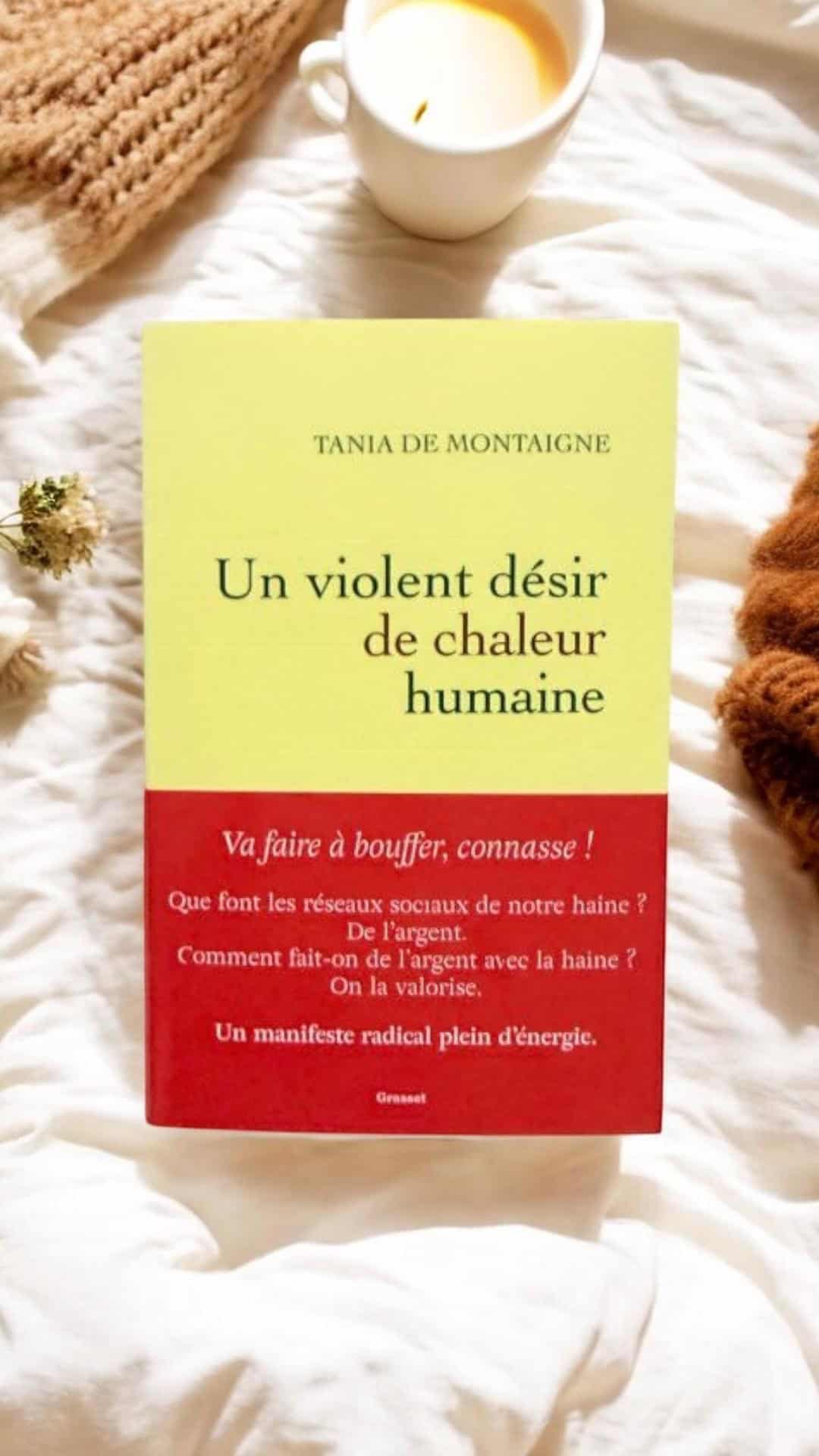 Couverture du livre Un violent désir de chaleur humaine de Tania de Montaigne, essai sur la violence numérique et les réseaux sociaux