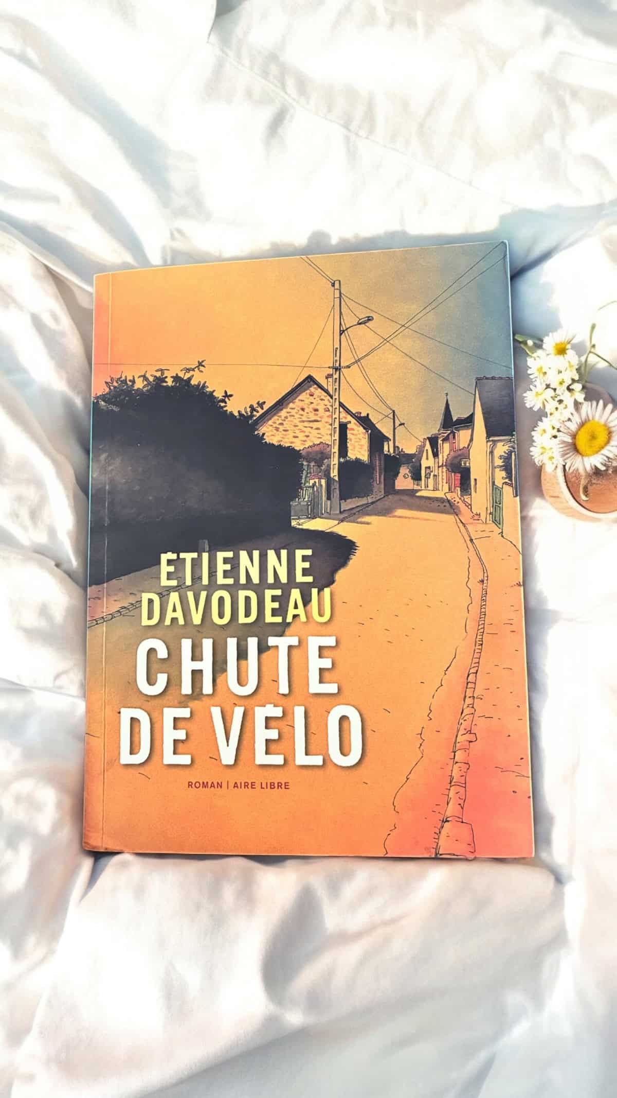 Chute de vélo d’Étienne Davodeau – chronique et avis lecture